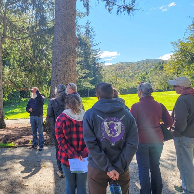 Group of adults gathers and listens to instructor in the forest