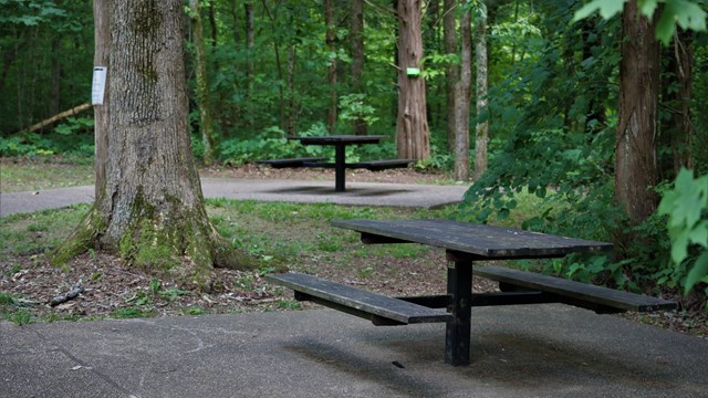Two picnic tables in a well-shaded picnic area outside of the Sloans Pond Trail. 