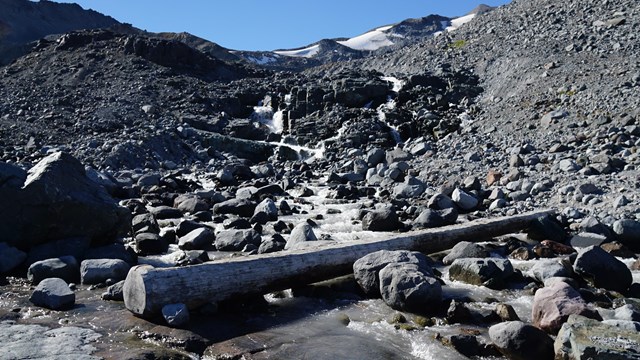A single log forms a footbridge over a rocky creek on a mountain slope. 
