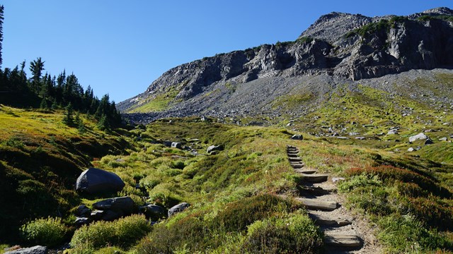 A narrow dirt trail climbs up a meadow slope next to a creek towards a rocky ridge. 
