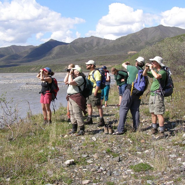 a group of adults look into the distance next to a river