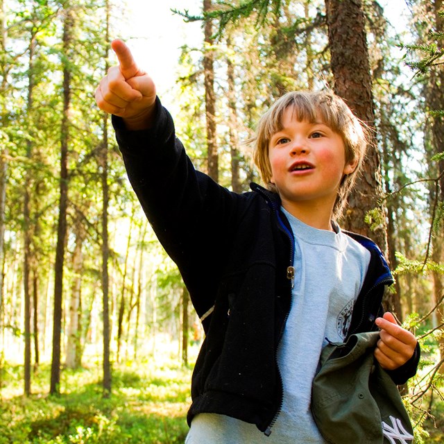 a young boy points to something in the woods