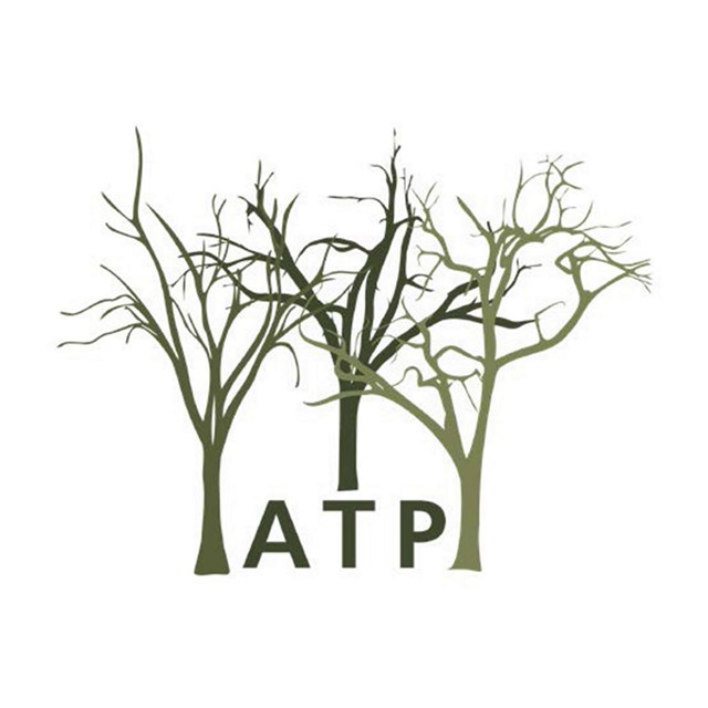 ATP Logo