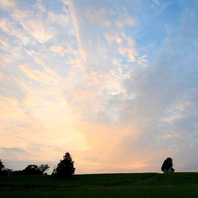 Clouds turn peach-colored on a blue sky at sunset.