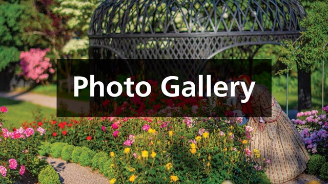 Bright colorful garden with a small black box in the center with white text "Photo Gallery"