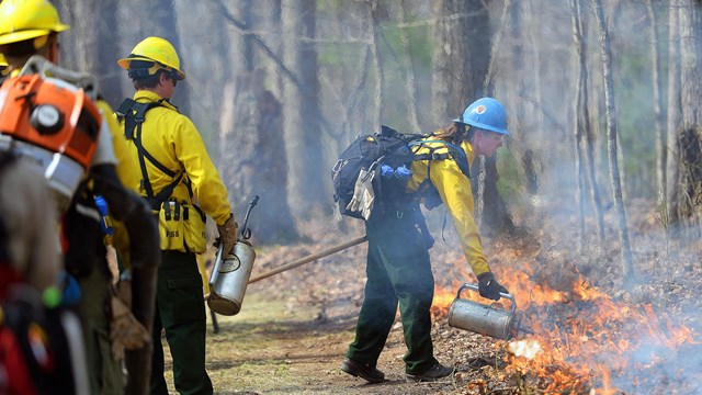 firefighter igniting a prescribed fire