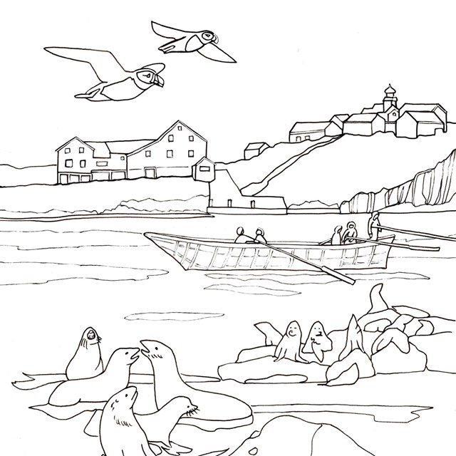 A line drawing of seals on rocks, with a row boat and shore with a small town.