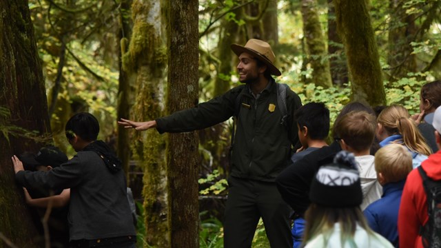 Ranger points out a hollowed out tree to a number of students, with two students looking inside