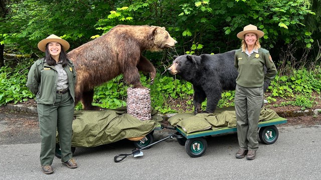 Two smiling park rangers with a taxidermy black bear and a grizzly bear in front of vegetation.