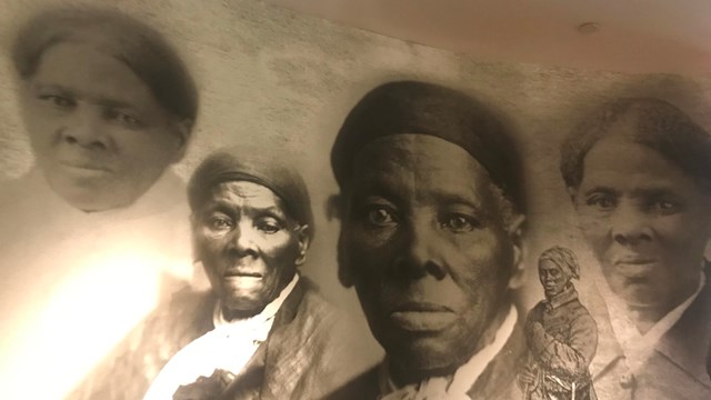 Collage of Harriet Tubman photos and illustration