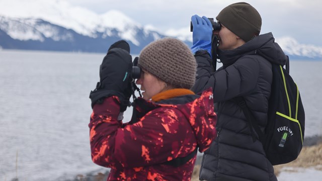 Two community scientists monitor seabirds with binoculars on the Seward, Alaska waterfront