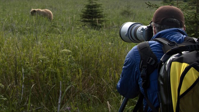 An OASLC employee shoots video of brown bears in coastal Alaska.