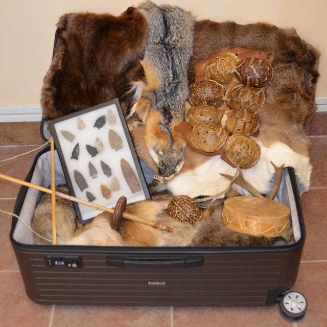 NPS Photo of a suitcase filled with pelts, historic tools, and instruments.