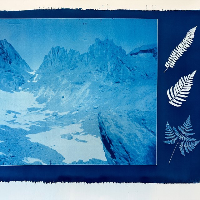 A photograph in shades of blue of the scant remnants of a glacier. Silhouettes of three ferns.
