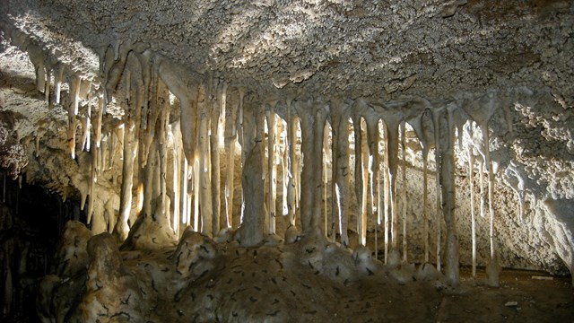 Soda straw cave formations found  in Oregon Caves.