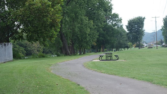 A paved trail winding through a green field with trees and picnic tables on either side