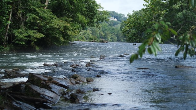 A river flowing over rocks between two forested river banks