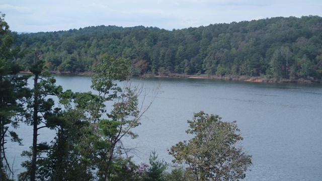 A lake with forested shores