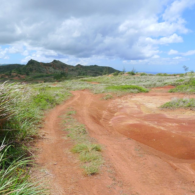 Mount Tenjo from the Historic Road. NPS Photo.