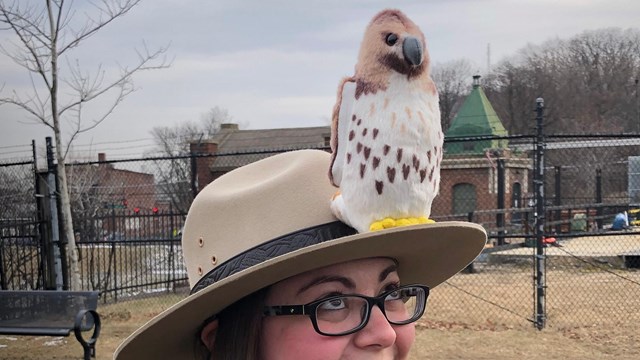 A smiling park ranger looks up at the stuffed toy red tailed hawk perched on her hat brim