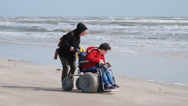 A person rides in a beach wheelchair and looks for shells on the beach.