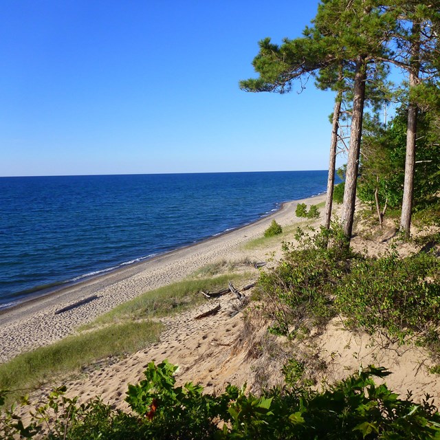 View from the forested bluff at Twelvemile Beach shows a long stretch of beach below.