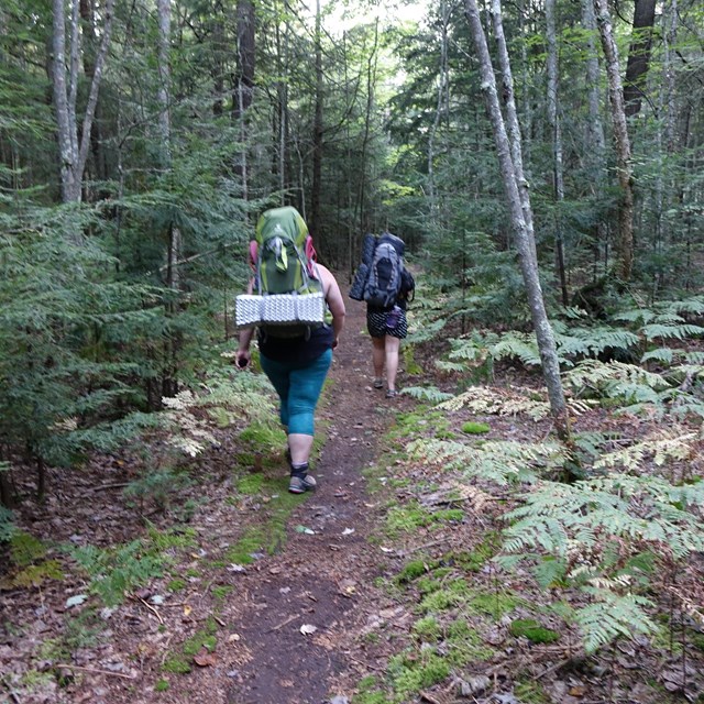 Two people wearing large packs walk away from the camera on a hiking trail.
