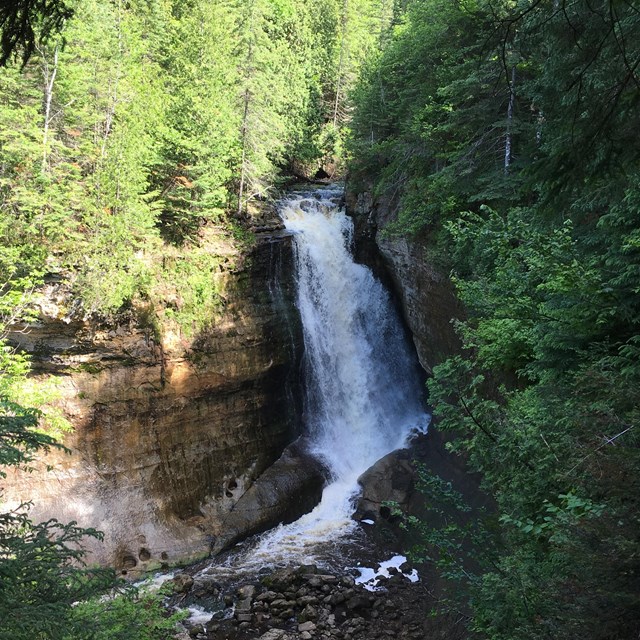 Miners Falls pouring over cliff and surrounded by green forest.