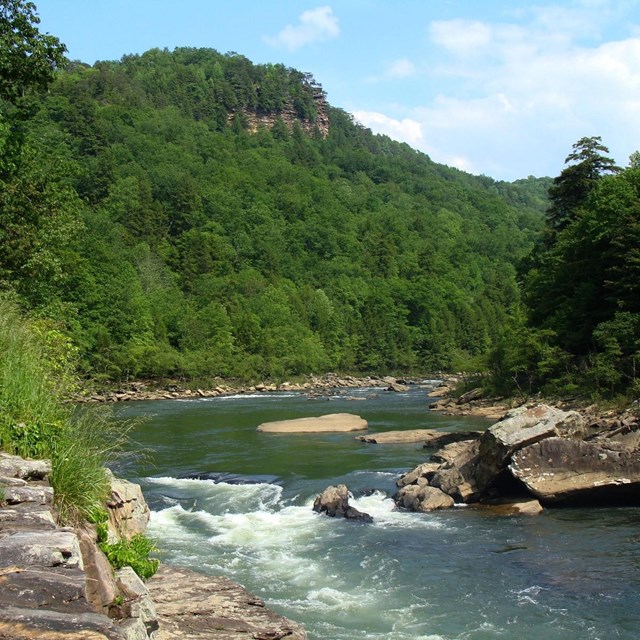 Gauley River Gorge provides a beautiful backdrop for a world class white water adventure. Dave Bieri