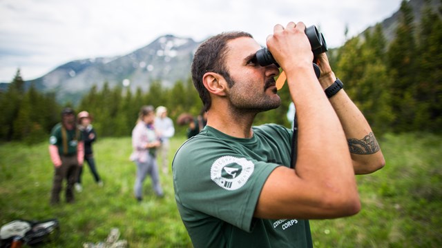 Researchers collect data during a bird survey in Glacier National Park.