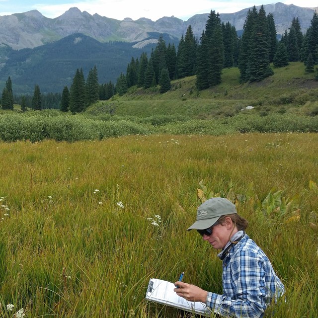 Colorado Natural Heritage Program