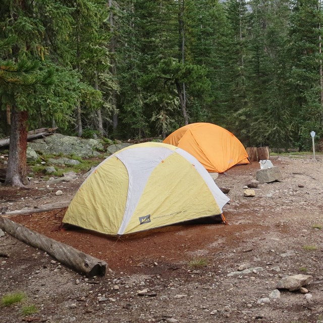 Three tents are set up in a designated wilderness campsite