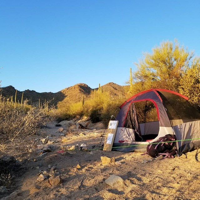 Tent in desert during golden hour