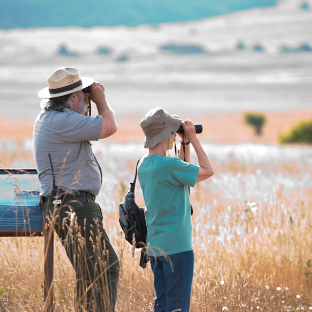 A ranger and visitor knee deep in grass with binoculars.