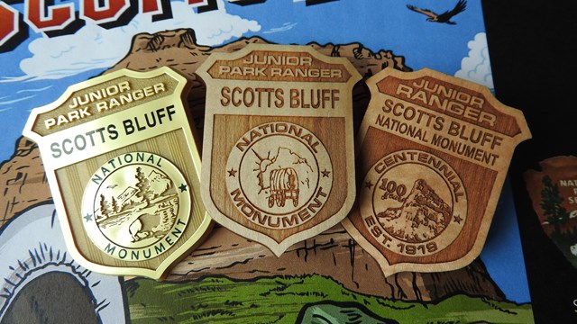 Three badges rest on a junior ranger activity booklet.  
