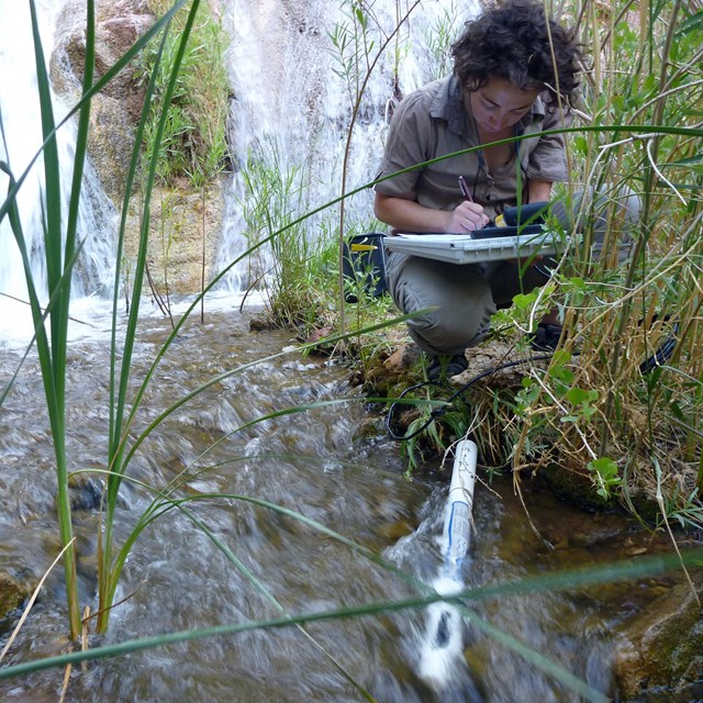 Woman kneeling in tall grass by the side of a stream, writing on a pad with a waterfall behind her.