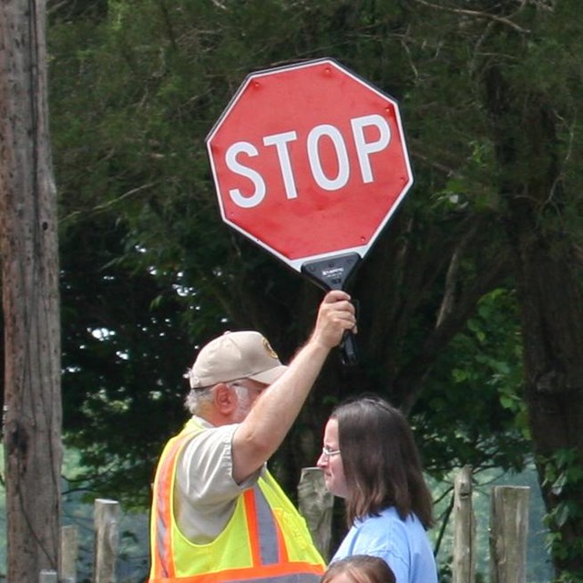 A crossing guard holds up a stop sign to let people cross a road.