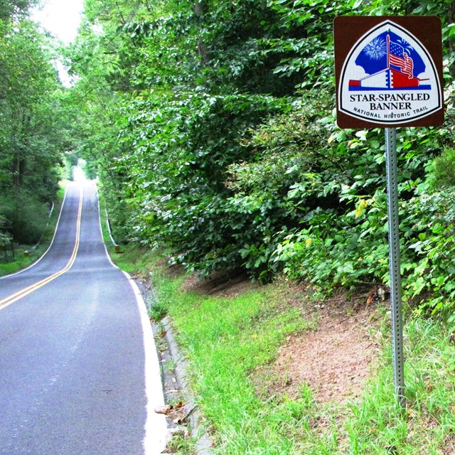 A trail sign is next to a two-lane road surrounded by trees. 