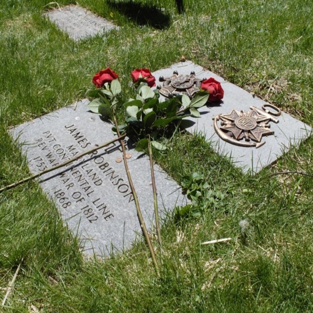 Two headstones with a red flower resting on top. The headstone on top has a crest of military honors