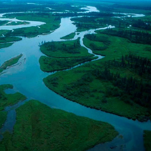 An aerial view of the Alagnak River.