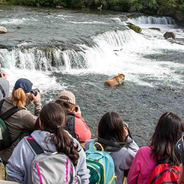 A group of visitors watch bears at the Brooks Falls platform in Katmai National Park and Preserve.