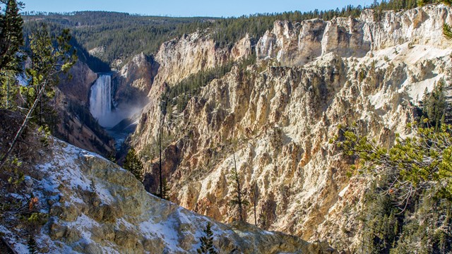 Waterfall drops down into the steep, yellow-wall lined canyon with conifer forests growing around.