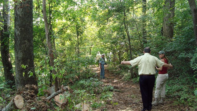 Two people stand on a trail opening in a highly vegetated forest.
