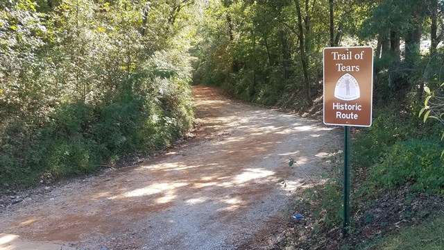 A brown site identification sign stands next to a trail in a forest.