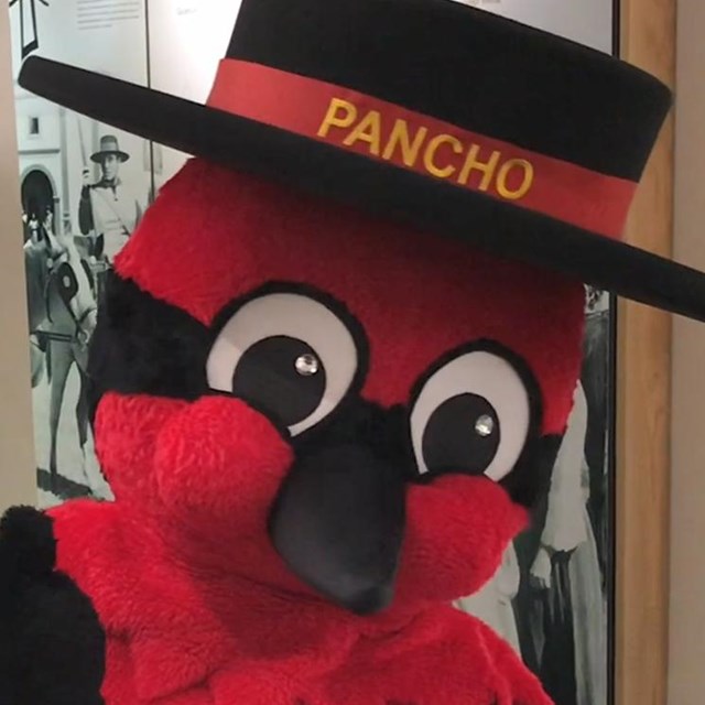 Pancho the Vermilion Flycatcher mascot gives the camera a thumbs up!