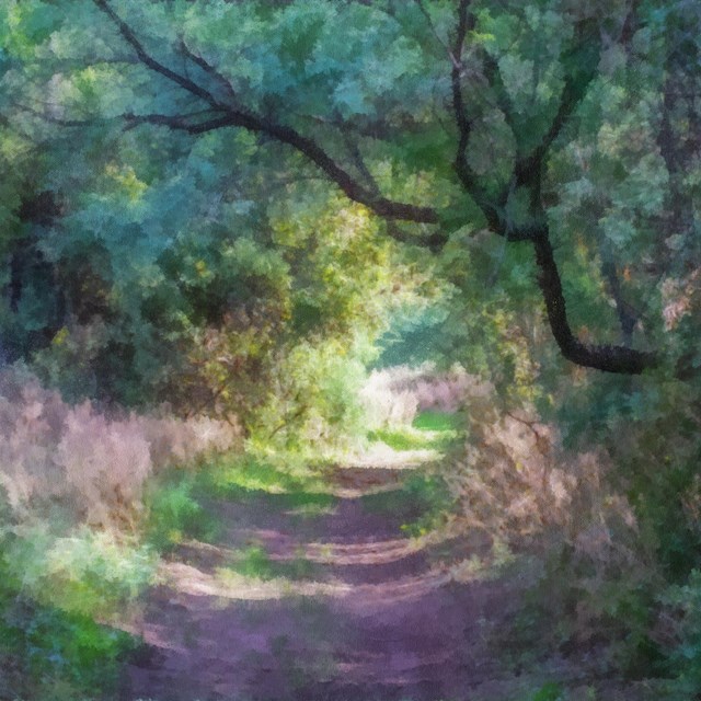 oil painting, overhanging trees and trail