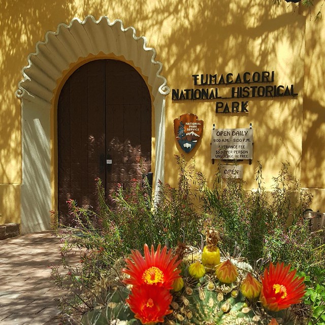visitor center door with cactus flower