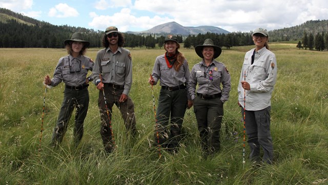 Five NPS employees stand in the middle of a large grassland.