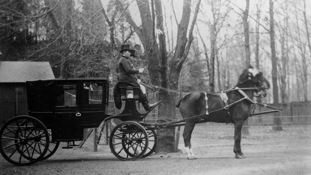 A carriage pulled by two horses.