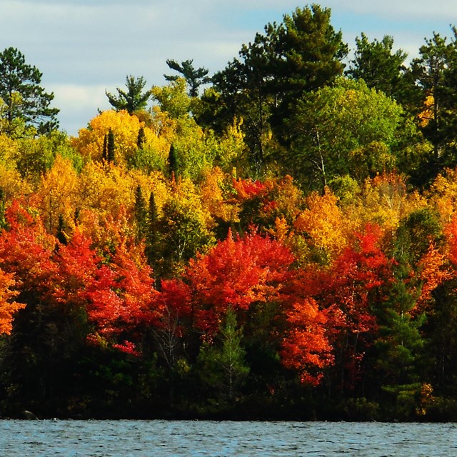 Water in front of trees with red, yellow and green leaves